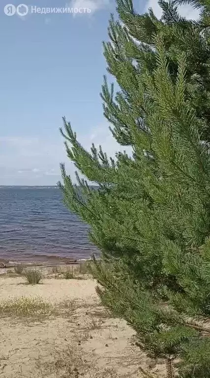 Участок в Нижегородская область, Городецкий муниципальный округ, ... - Фото 2