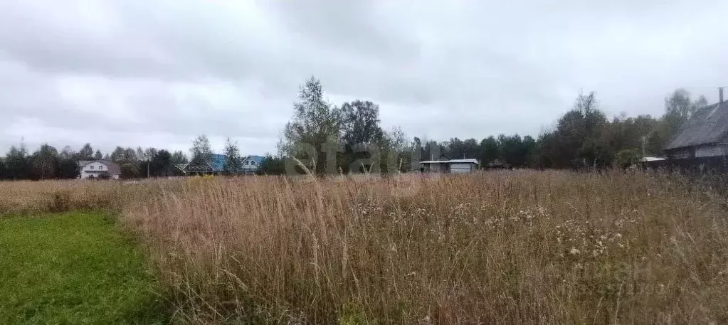 Участок в Костромская область, Судиславский район, Расловское с/пос, ... - Фото 1