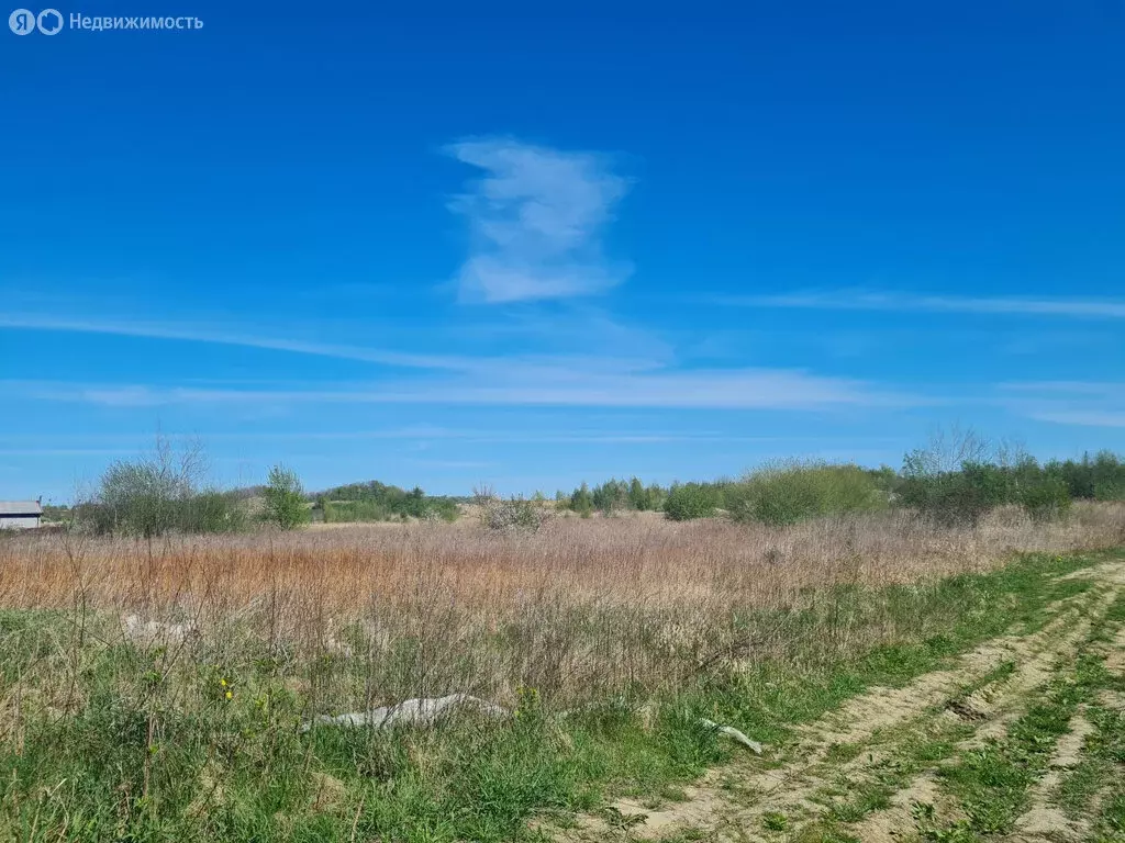 Участок в посёлок городского типа Янтарный, СНТ Садовник (8 м) - Фото 1