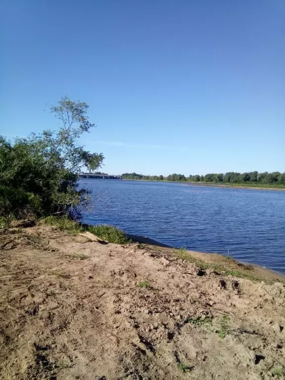 Участок в Новгородская область, Новгородский район, Бронницкое с/пос, ... - Фото 1