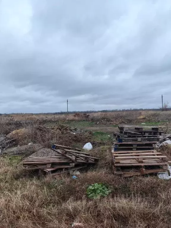 Участок в Краснодарский край, Анапа муниципальный округ, с. Витязево ... - Фото 1