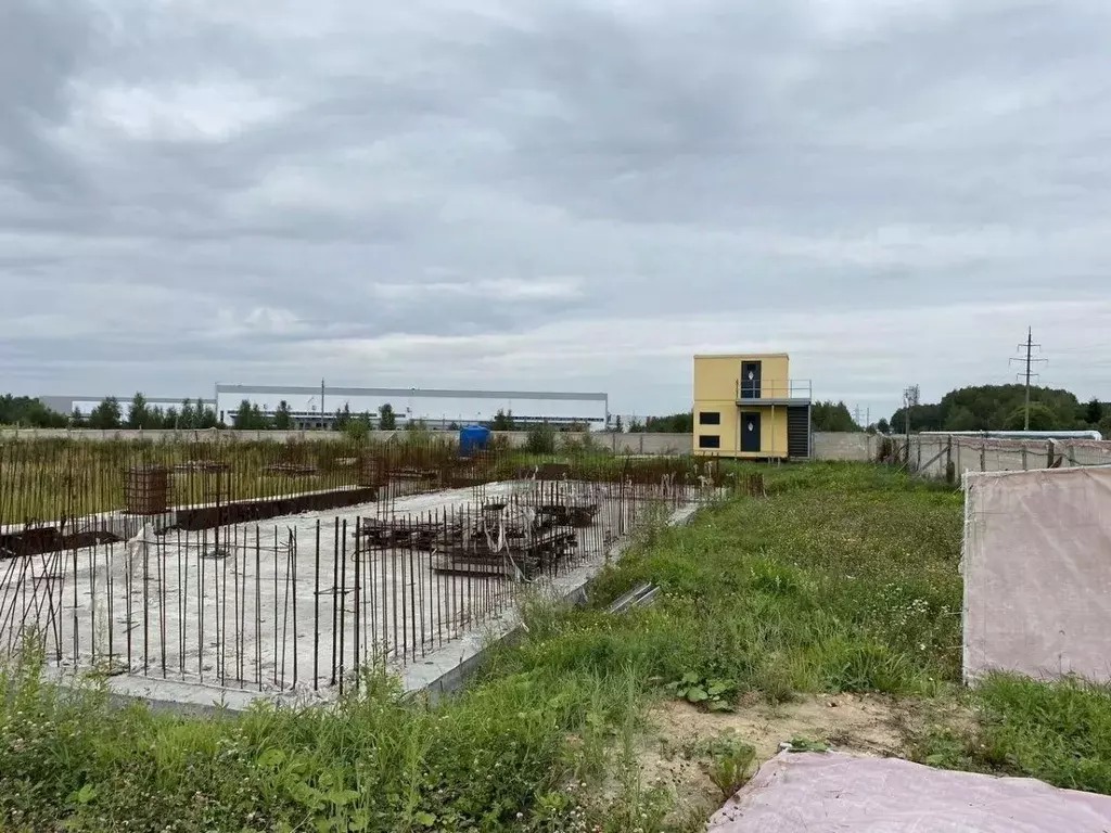 Участок в Московская область, Ногинск Богородский городской округ, ... - Фото 1