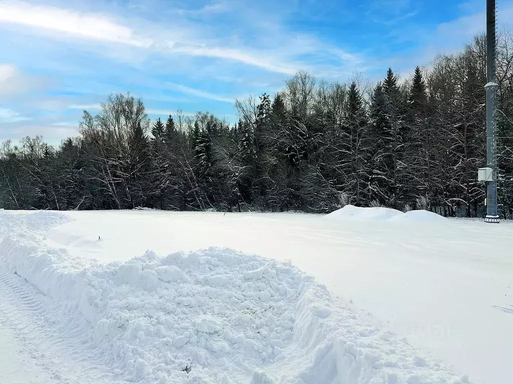 Участок в Московская область, Подольск городской округ, Пузиково кп 46 ... - Фото 2