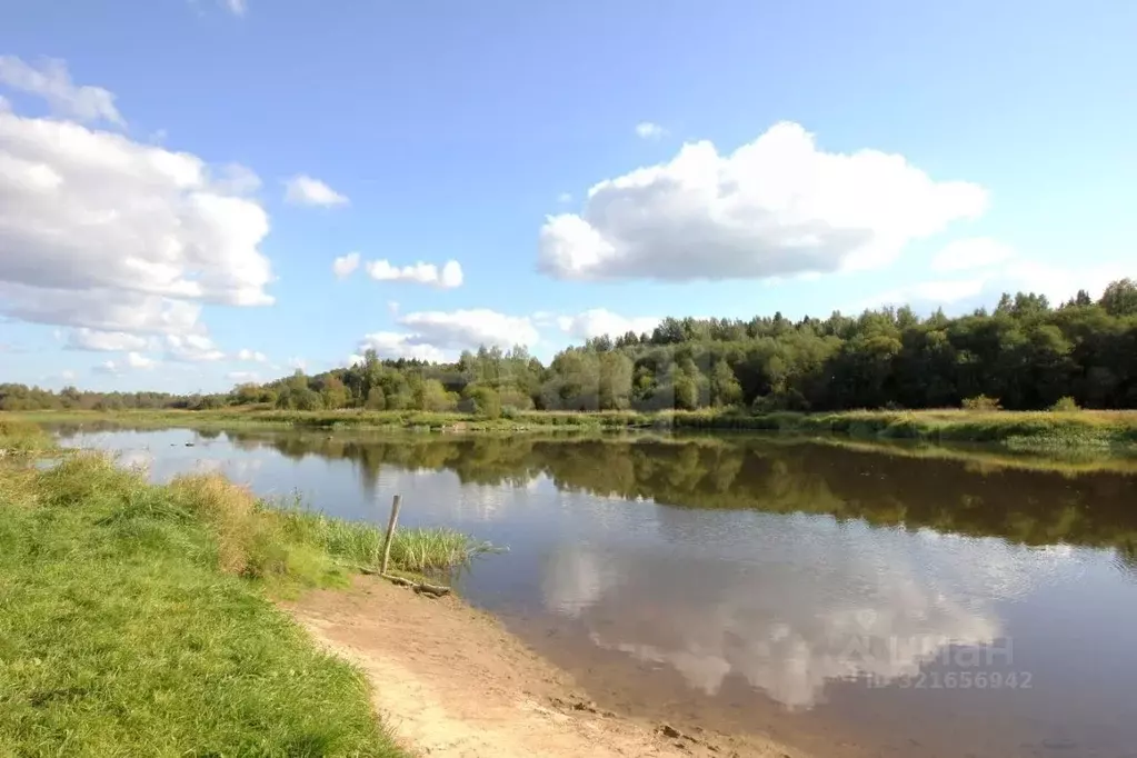 Участок в Вологодская область, Шекснинский муниципальный округ, д. ... - Фото 1