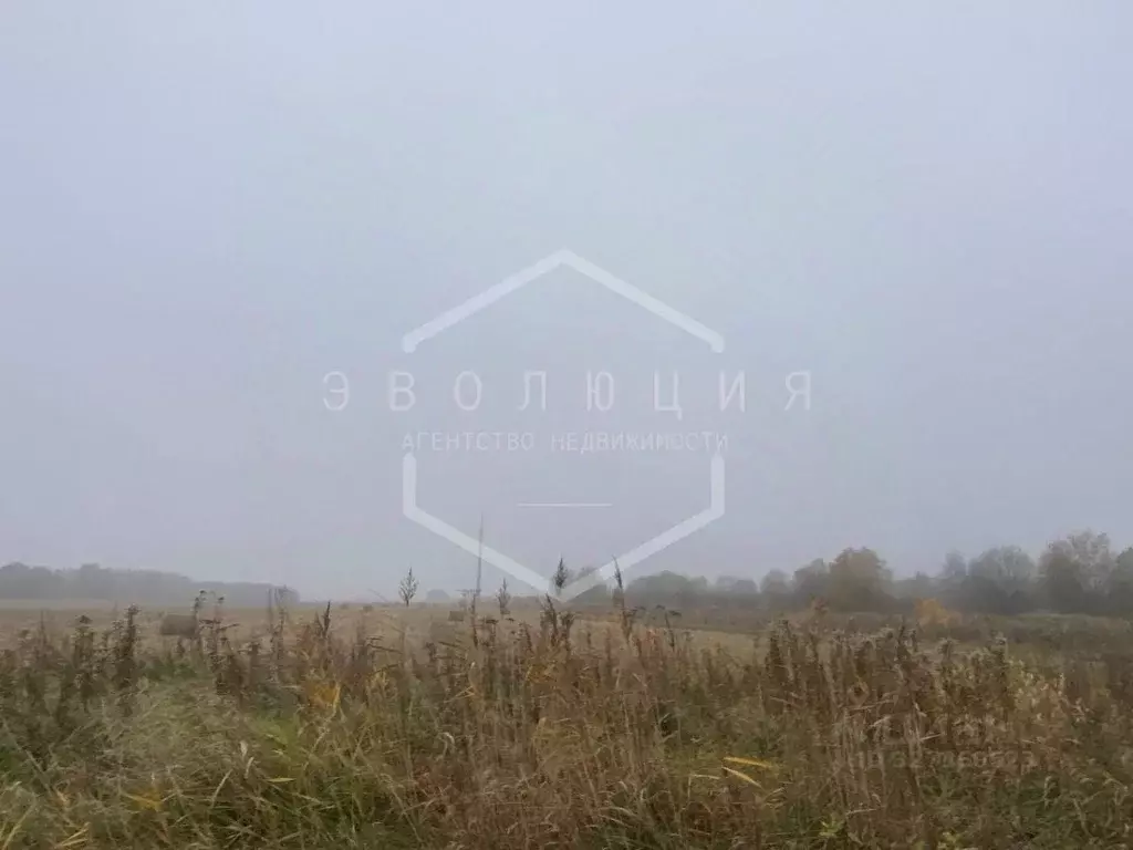 Участок в Калининградская область, Зеленоградский муниципальный округ, ... - Фото 2