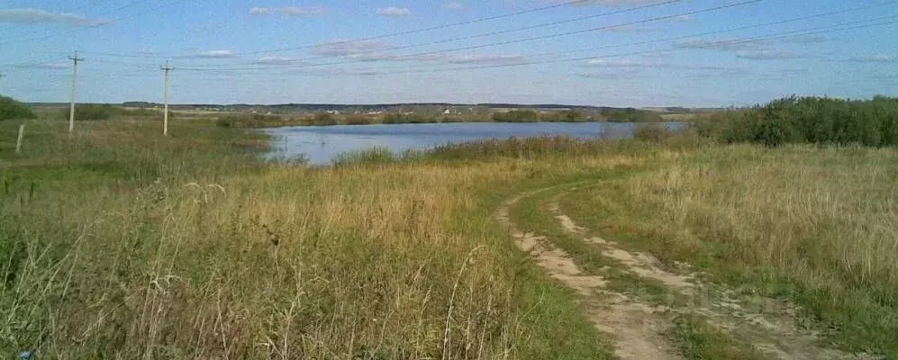 Участок в Владимирская область, Вязниковский район, Октябрьское ... - Фото 2