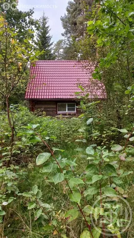 Дом в Выборгский район, Полянское сельское поселение, посёлок ... - Фото 1