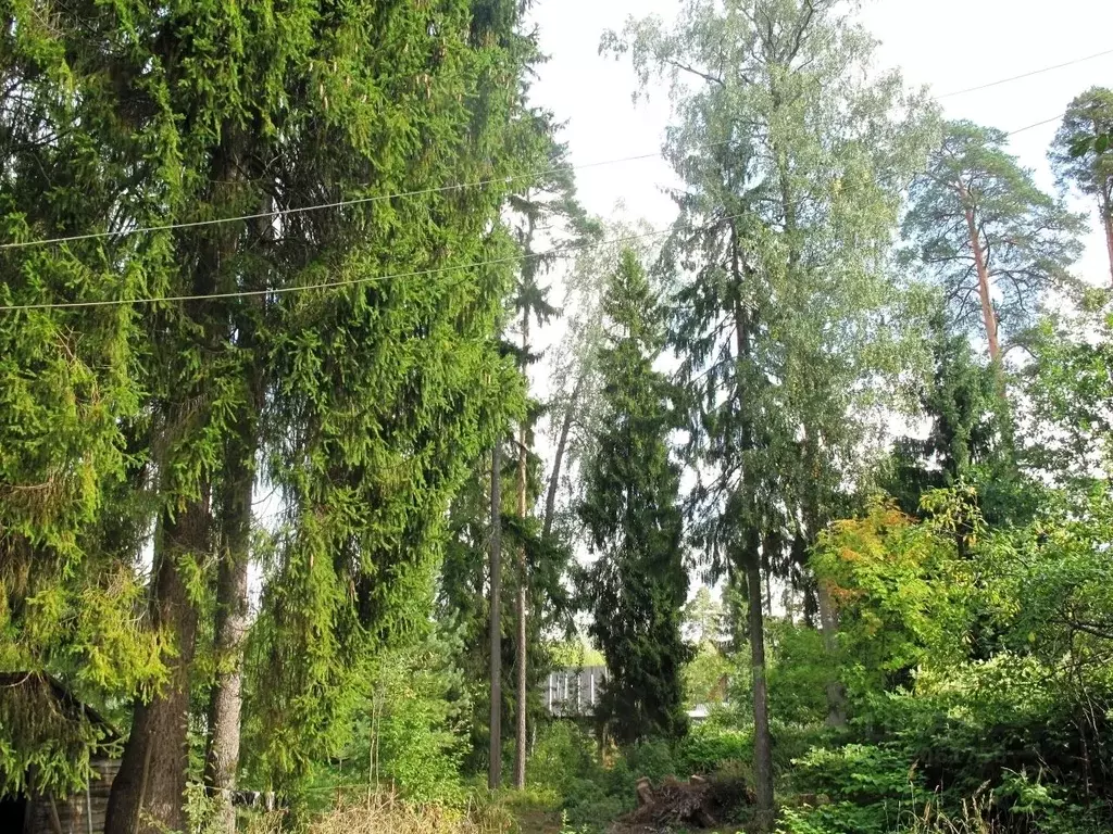 Дом в Ленинградская область, Гатчинский муниципальный округ, Вырица ... - Фото 1