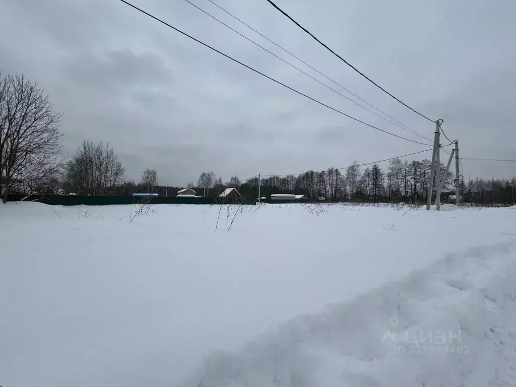 Участок в Московская область, Богородский городской округ, д. Исаково ... - Фото 2