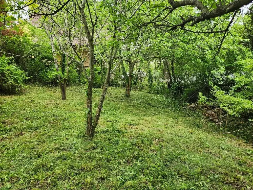 Участок в Краснодарский край, Сочи городской округ, с. Высокое, ... - Фото 2