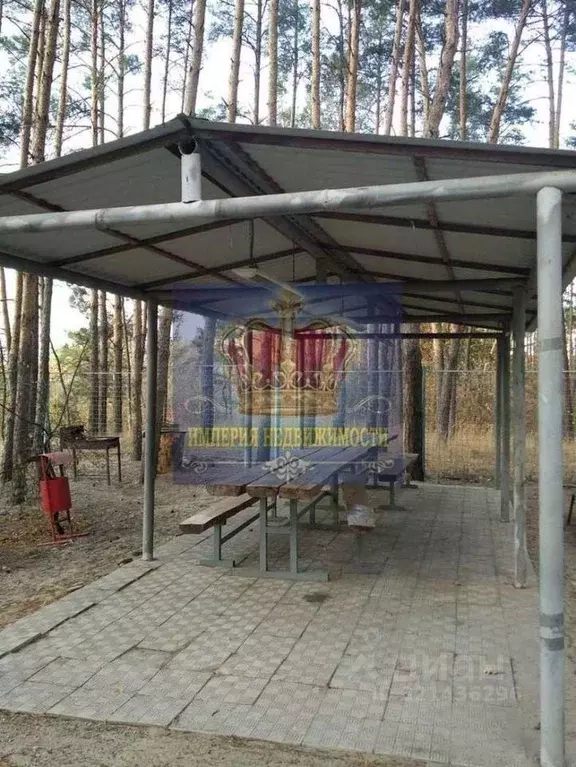 Торговая площадь в Белгородская область, Шебекинский муниципальный ... - Фото 2