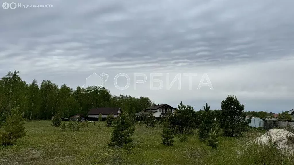 Участок в Тюменский район, деревня Коняшина (11 м) - Фото 0