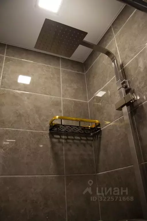 Комната Орловская область, Орел ул. Генерала Жадова, 9 (20.0 м) - Фото 2