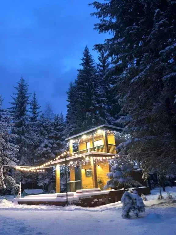 Дом в Ленинградская область, Ломоносовский район, Лопухинское с/пос, ... - Фото 2