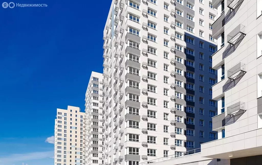 Квартира-студия: Пушкино, Ярославское шоссе, 194 (30.1 м) - Фото 1