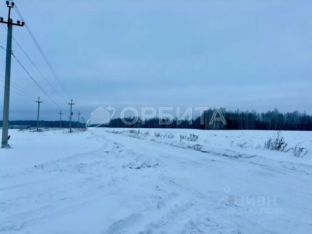 Участок в Тюменская область, Тюменский район, с. Горьковка Сибирская ... - Фото 1