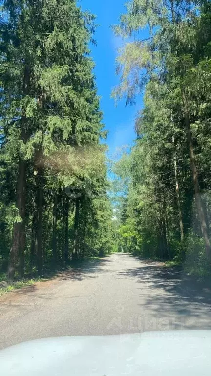 Участок в Московская область, Мытищи городской округ, д. Никульское, ... - Фото 0