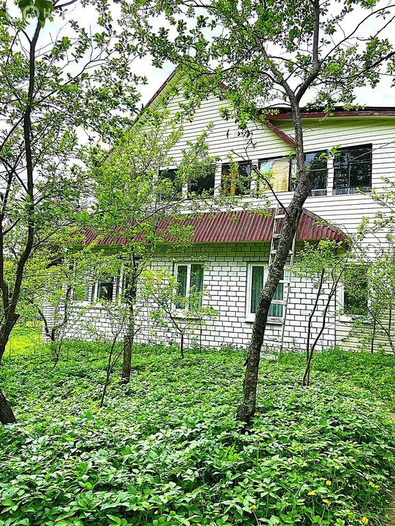 Дом в посёлок Мичуринское, Хвойная улица, 10 (75 м) - Фото 2