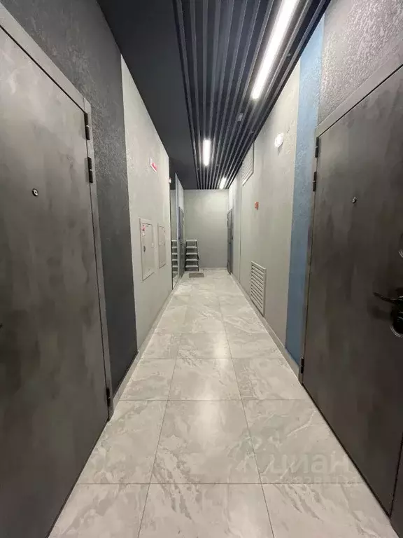 2-к кв. Пермский край, Пермь ул. Чернышевского, 20 (45.0 м) - Фото 2