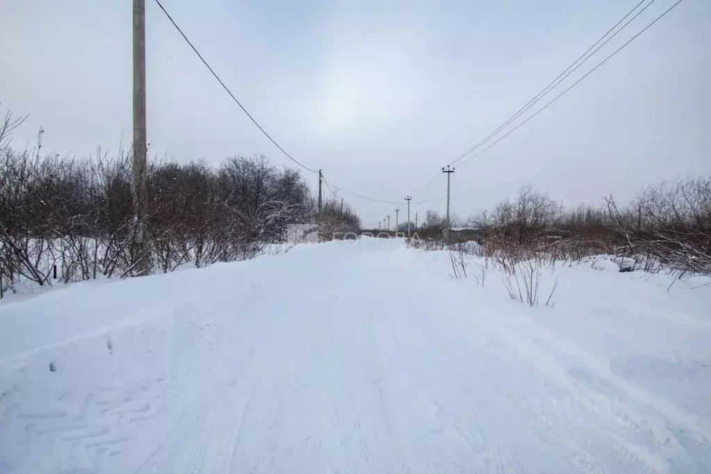 Участок в Кемеровская область, Новокузнецкий муниципальный округ, пос. ... - Фото 1