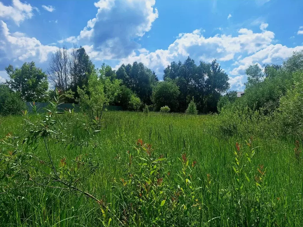 Участок в Московская область, Одинцовский городской округ, с. Лайково  ... - Фото 1