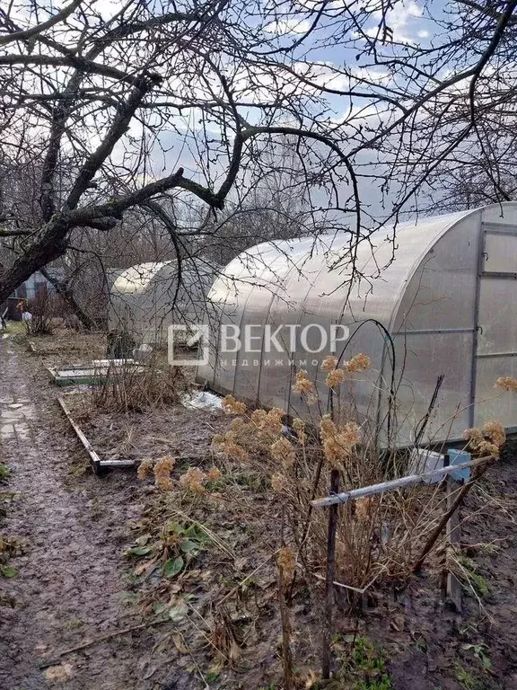 Дом в Ивановская область, Иваново Отрадное-2 СНТ, 52 (50 м) - Фото 1