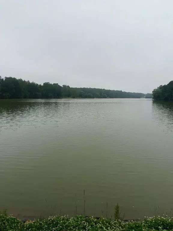 Продается 1-комнатная квартира - Фото 2