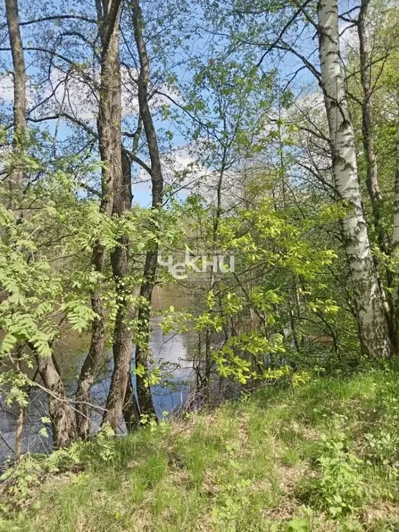 Участок в Нижегородская область, Городецкий муниципальный округ, д. ... - Фото 2