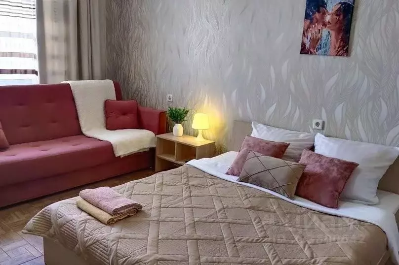 1-к кв. Новосибирская область, Новосибирск ул. Гоголя, 26 (43.0 м) - Фото 1