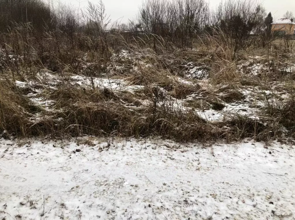 Участок в Московская область, Орехово-Зуевский городской округ, д. ... - Фото 1