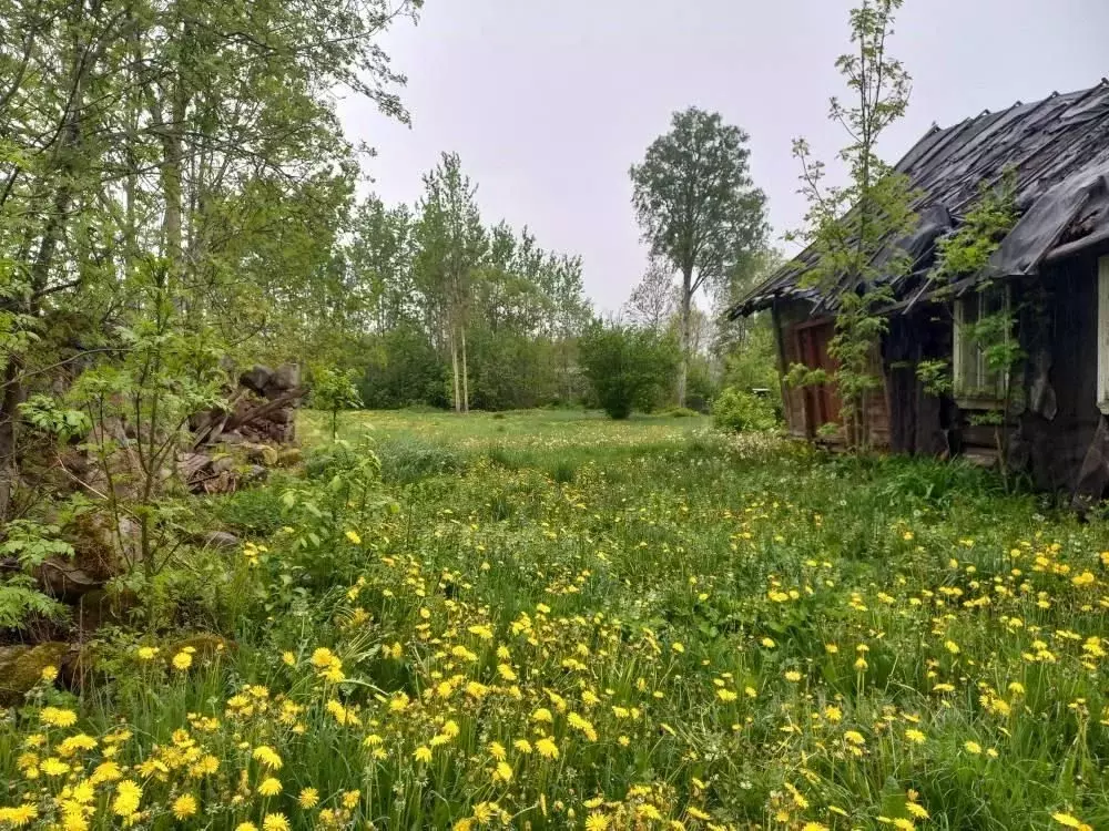 Дом в Псковская область, Печорский муниципальный округ, д. ... - Фото 2