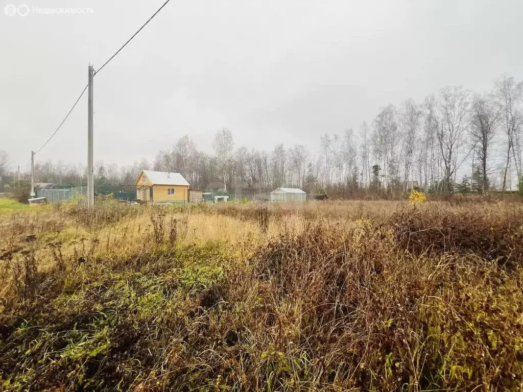 Участок в Владимирская область, Петушинский муниципальный округ, ... - Фото 1