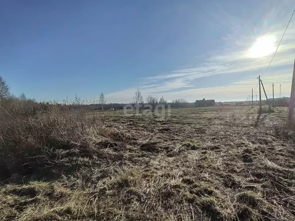 Участок в Ярославская область, Переславль-Залесский муниципальный ... - Фото 1