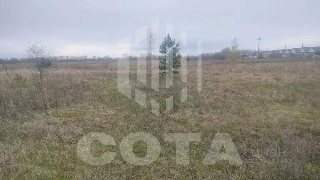 Участок в Воронежская область, Воронеж ул. Ивана Осадчука (6.0 сот.) - Фото 1