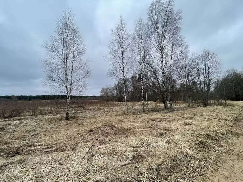 Участок в Тверская область, Торжокский муниципальный округ, д. Поречье ... - Фото 1