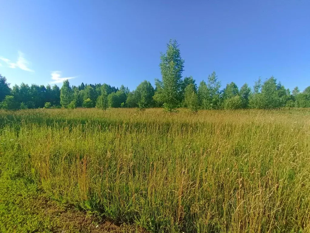 Участок в Пермский край, Краснокамский городской округ, д. Мошни  ... - Фото 1