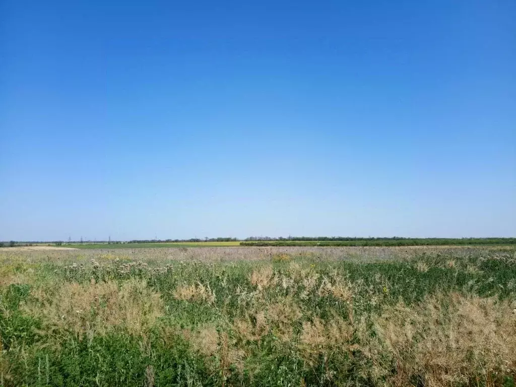 Участок в Краснодарский край, Ейск Южное СНТ, ул. 7-я (6.0 сот.) - Фото 2