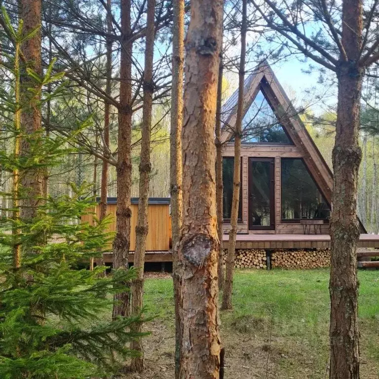 Дом в Псковская область, Палкинская волость, д. Чернокуново 1 (40 м) - Фото 1