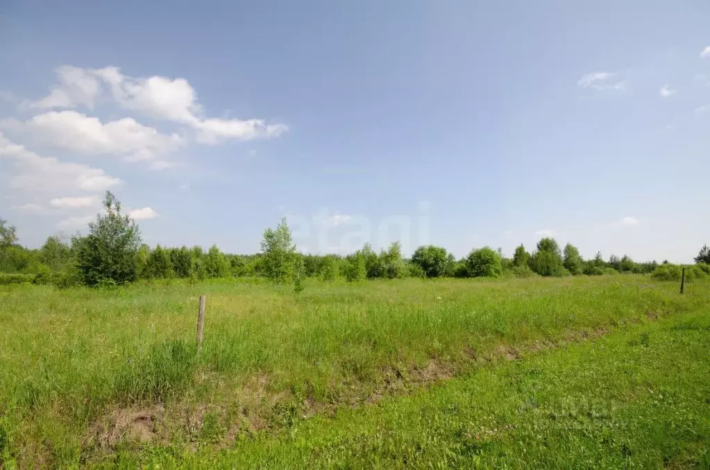 Участок в Тюменская область, Тюменский муниципальный округ, Ежевика дп ... - Фото 0