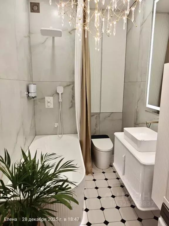 1-к кв. Санкт-Петербург ул. Челюскина, 10 (46.0 м) - Фото 1