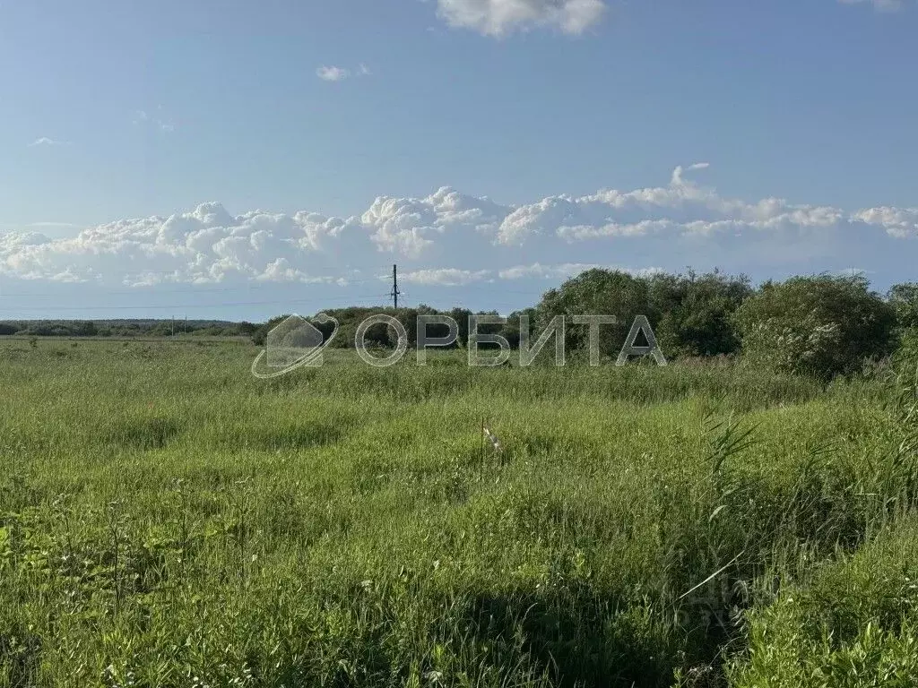 Участок в Тюменская область, Тюмень Золотая Осень-2 садовое ... - Фото 1