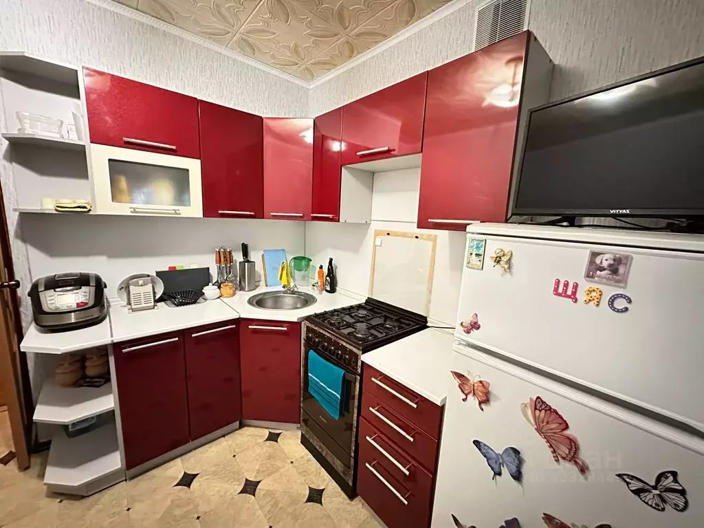 1-к кв. Рязанская область, Скопин АЗМР мкр, 30 (31.7 м) - Фото 1