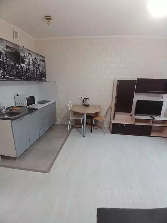 Студия Московская область, Красногорск ул. Липовой Рощи, 1к3 (25.0 м) - Фото 1