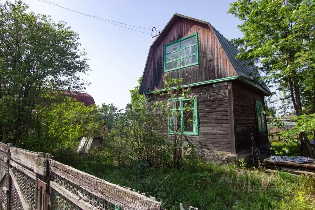 Снт иней. СНТ иней 2 Новосибирск. Дачи. На даче. Дачный участок.