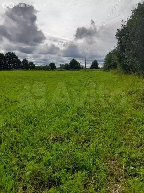 Участок в Палкинский район, Новоуситовская волость, деревня Сопки ... - Фото 1