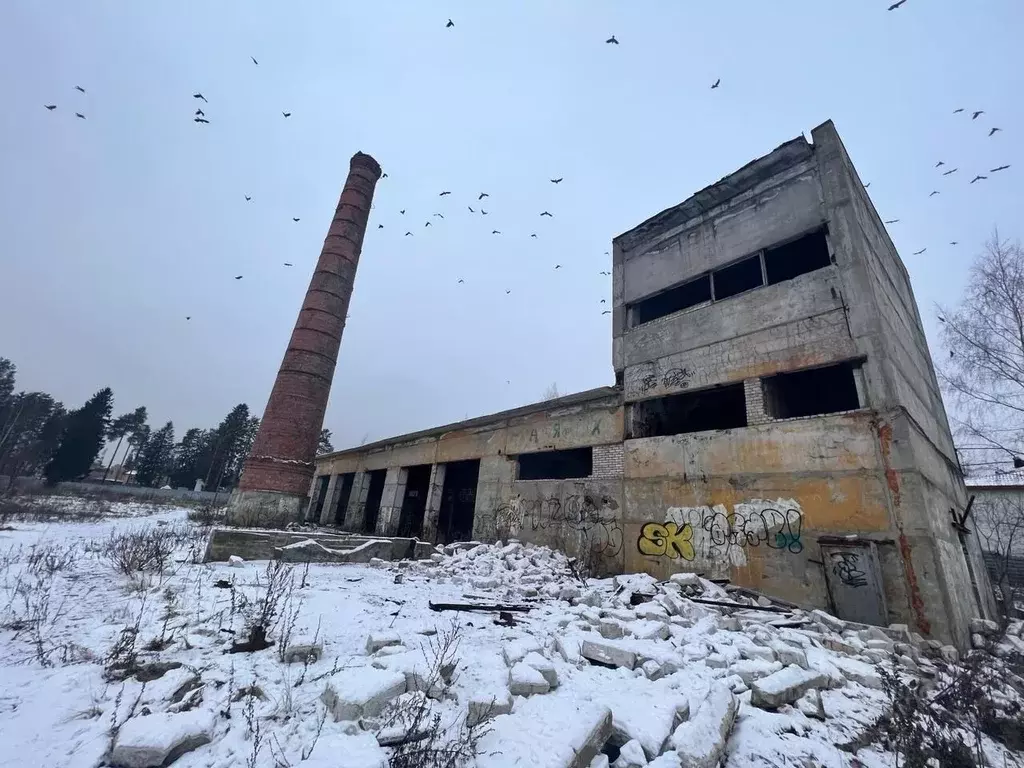 Участок в Ленинградская область, Сертолово Всеволожский район, Черная ... - Фото 0