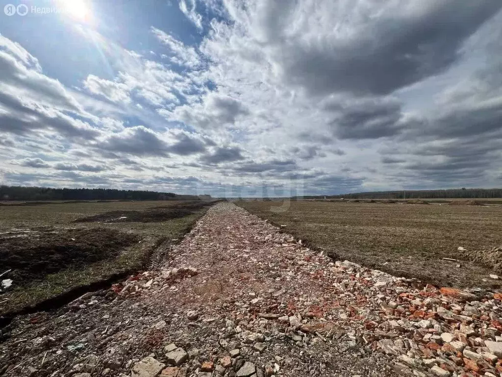 Участок в Шишкино, КП Растуново ИЖС, 302 (5.04 м) - Фото 1