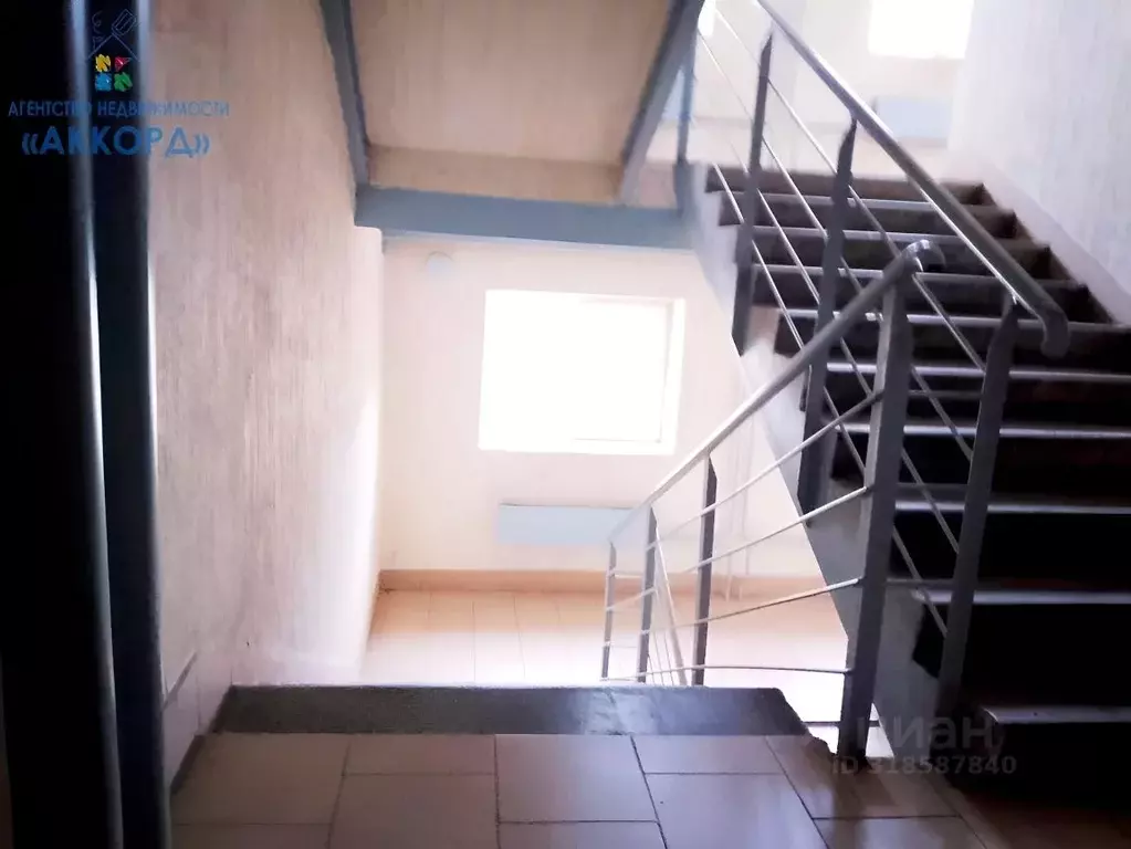 1-к кв. Алтайский край, Бийск Ленинградская ул., 38 (35.0 м) - Фото 2