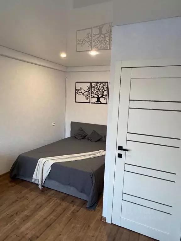 1-к кв. Санкт-Петербург Кондратьевский просп., 79 (31.1 м) - Фото 1