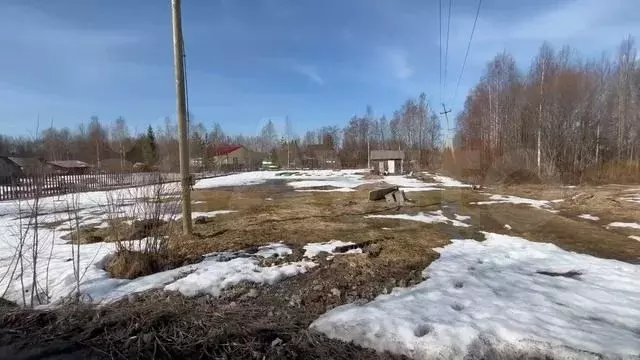 Участок 15 сот. (СНТ, ДНП) - Фото 1